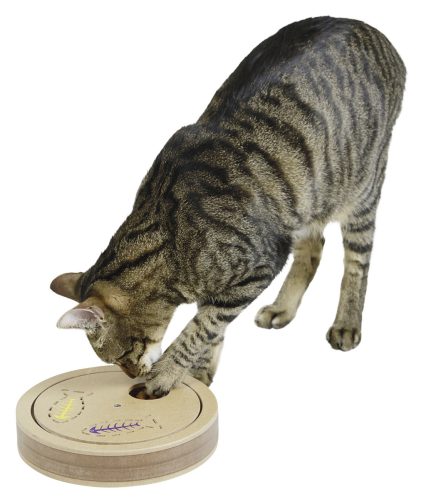 Exciting gondolkodó és tanulójáték macskáknak - 20 x 9 cm