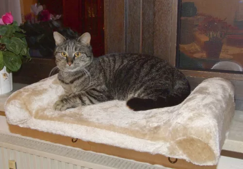 Macskapihenő, ablakpárkányra tehető - 36 x 56 cm