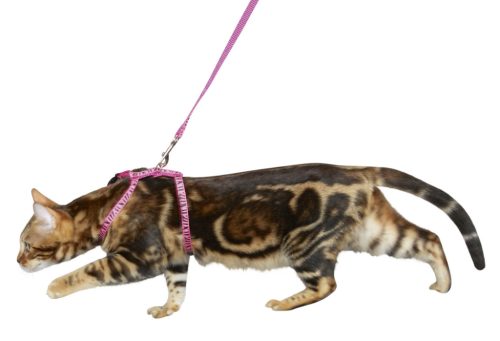 Macskahám pórázzal - rózsaszín, 120 cm / 12 mm