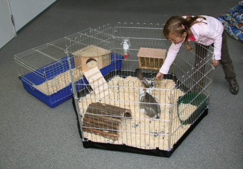 Alátétponyva kisemlős karámokhoz (82707, 82833)