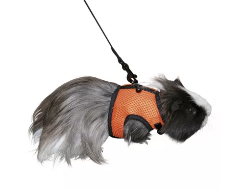 Sporthám nyulaknak és rágcsálóknak - 22-26 cm, 14-18 cm