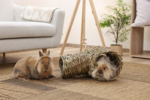 Kétrészes fű alagút rágcsálóknak