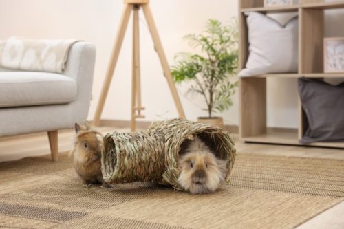 Kétrészes fű alagút rágcsálóknak