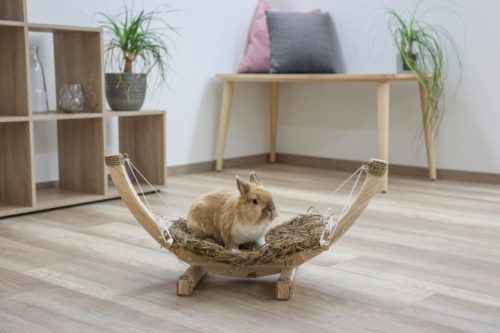 Siesta nyúlágy - 73 x 36 x 34 cm