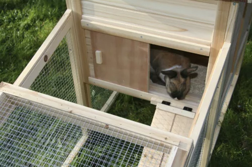 Freetime rágcsálóház - 140 x 65 x 100 cm