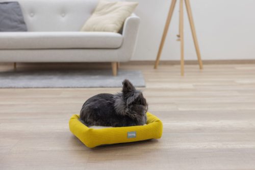 Kisállatpárna - sárga / fehér, 36 x 32 x 7 cm