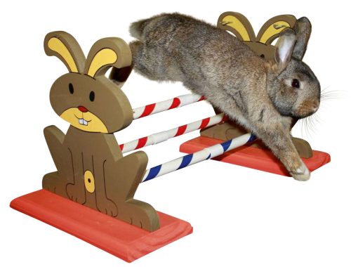 Agility rágcsáló akadály - 62 x 33 x 34 cm