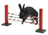 Agility ugróakadály nyulaknak - 70 x 5 x 35 cm