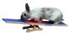 Agility libikóka nyulaknak - 60 x 18 x 12 cm