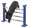 Agility akadály nyulaknak - 53 cm