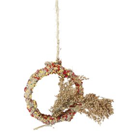 Native Snacks madáreleség - felfüggeszthető, 11 cm