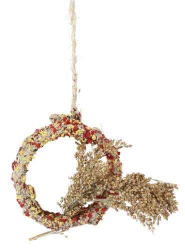 Native Snacks madáreleség - felfüggeszthető, 11 cm