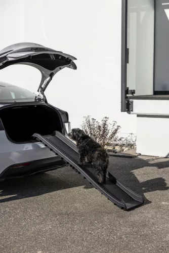 Kutyarámpa - fekete, 157x40,5x9 cm