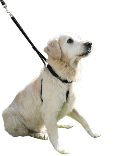 Maxi Leader kutyahám - fekete, 2-es méret