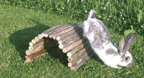 Kisállat híd fából - 30 x 50 cm