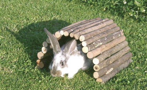 Kisállat híd fából - 30 x 50 cm