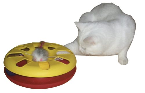 Kitty játékkerék - 24 cm