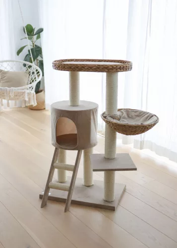 Banana Leaf Waxy macskafa - bézs, 104 cm