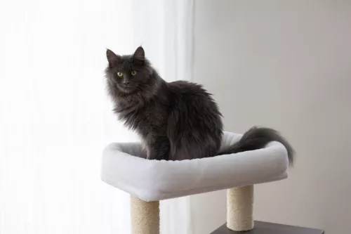 Flair macskafa - fehér / szürke, 86 cm