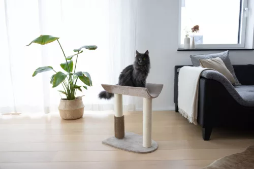 Ambiance macskafa - barna, 56 cm