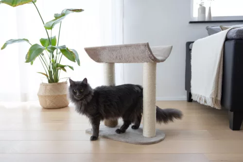 Ambiance macskafa - barna, 56 cm