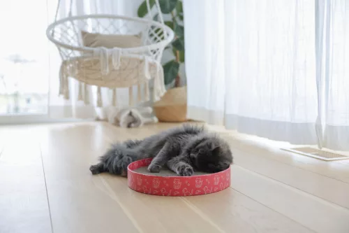 Kör alakú kaparó macskáknak - 3 az 1-ben, 34 cm