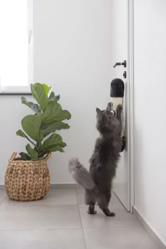 Sizál játszó- és kaparóoszlop macskáknak - fekete / fehér, 10 cm x 54 cm