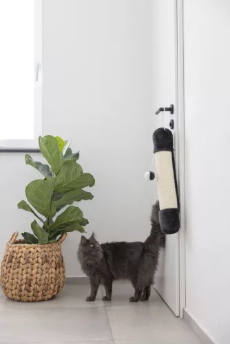 Sizál játszó- és kaparóoszlop macskáknak - fekete / fehér, 10 cm x 54 cm