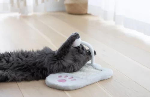 Paw kaparólap - fehér / rózsaszín, 36 x 31 cm