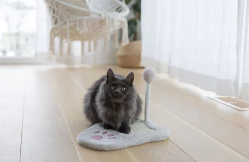 Paw kaparólap - fehér / rózsaszín, 36 x 31 cm