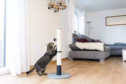 Opal Pro kaparóoszlop - szürke / fekete, 80 cm