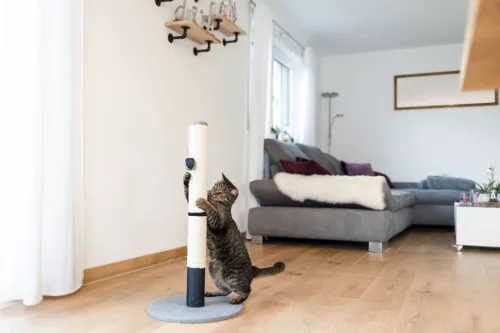 Opal Pro kaparóoszlop - szürke / fekete, 80 cm