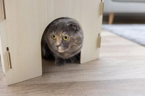 Macska kastély párnával - 37 x 37 x 30 cm