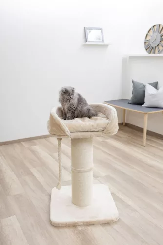 Toni macskafa XL - 58 x 58 x 92 cm