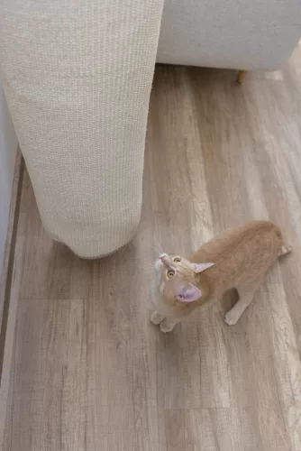 Climber mini mászózsák - 25 x 25 x 100 cm