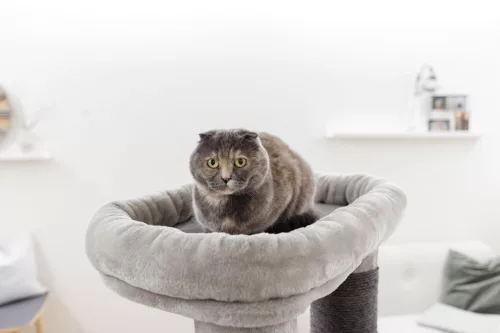 Benji macskafa - 70 x 70 x 146 cm