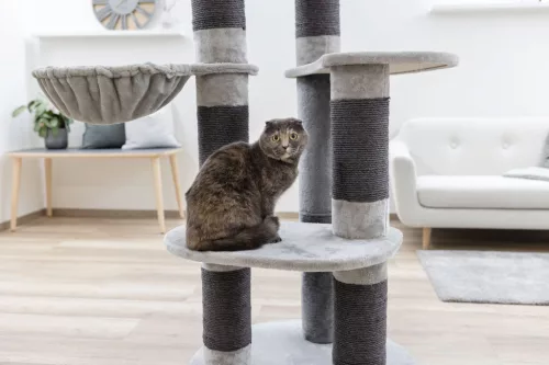 Benji macskafa - 70 x 70 x 146 cm