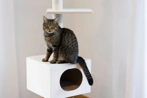 Ferdi macskafa - fehér, 240-260 cm