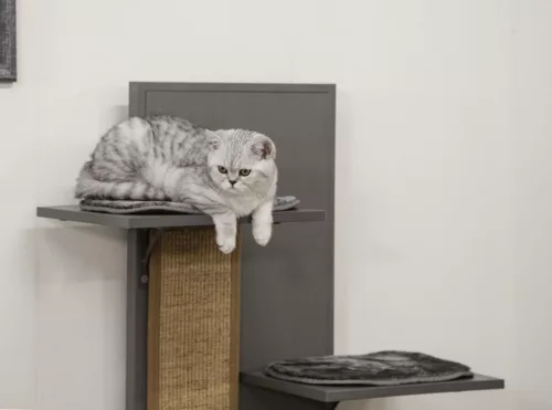 ECO Alex macska játszóház - 42 x 42 x 152,5 cm