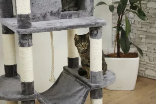 Matteo macskafa - szürke, 59 x 52 x 162 cm