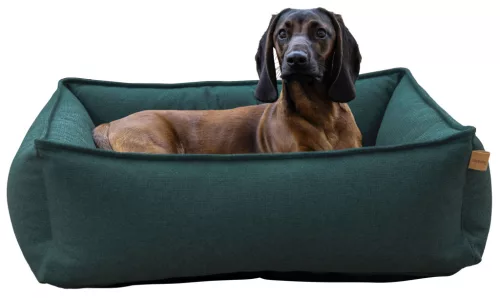Oliver kutyaágy - zöld, 60x70 cm