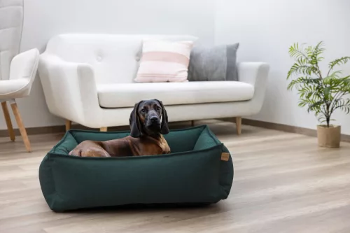 Oliver kutyaágy - zöld, 60x70 cm