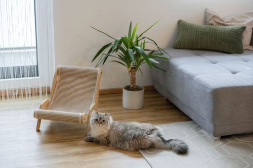 Sundowner macsakapihenő - 54x37x33 cm