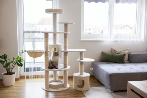 Annika kaparó és pihenő - bézs, 104x59x164 cm