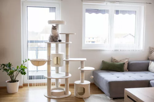 Annika kaparó és pihenő - bézs, 104x59x164 cm