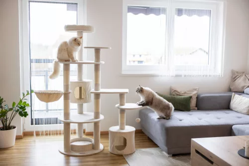 Annika kaparó és pihenő - bézs, 104x59x164 cm