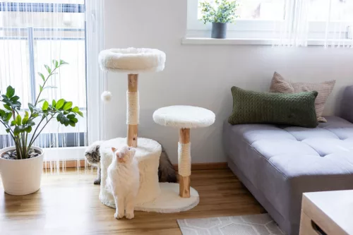 Lucia macskapihenő - fehér, 60x40x92 cm