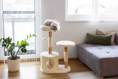 Lucia macskapihenő - fehér, 60x40x92 cm