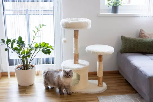 Lucia macskapihenő - fehér, 60x40x92 cm