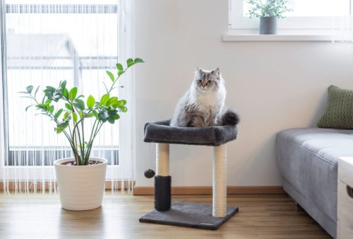 Rosi macskapihenő - antracit, 40x40x48 cm